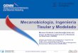 Mecanobiología, Ingeniería Tisular y Modelado