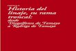 CAPÍTULO II. istoria del linaje, su rama troncal