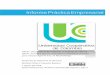 Informe Práctica Empresarial - UCC