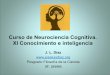Curso de Neurociencia Cognitiva. XI Conocimiento