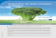 Diagnóstico del sector ecológico en Navarra