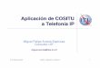 Aplicación de COSITU a Telefonía IP
