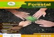 Revista Forestal de Guatemala