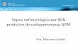 Sepsis nefrourológica por BGN productor de carbapenemasas NDM