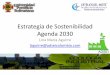 Estrategia de Sostenibilidad Agenda 2030