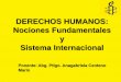 DERECHOS HUMANOS: Nociones Fundamentales y Sistema 