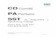 Acta COPASST 05-04-2021 - RMS