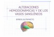 ALTERACIONES HEMODIONÁMICAS Y DE LOS VASOS SANGUÍNEOS