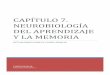 CAPÍTULO 7. NEUROBIOLOGÍA DEL APRENDIZAJE Y LA MEMORIA
