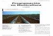PROGRAMACION HORTICOLA Programación en Horticultura