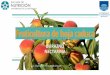 Fruticultura de hoja caduca - eva.nutricion.udelar.edu.uy