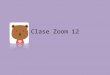 Clase Zoom 12