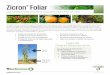 Zicron Foliar - FBSciences
