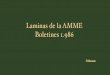 Laminas de la AMME Boletines 1 - lossoldaditosdeplomo.com