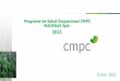 Programa de Salud Ocupacional CMPC MADERAS SpA