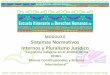 MODULO 6 Sistemas Normativos Internos y Pluralismo Jurídico