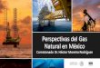 Perspectivas del Gas Natural en México