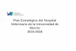 Hospital Veterinario Murcia -Plan estrategico