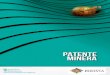 PATENTE Minera - autoridadminera.gob.bo