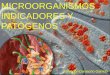 MICROORGANISMOS INDICADORES Y PATÓGENOS