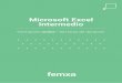 Microsoft Excel 2016 (Intermedio) - cursosfemxa.es