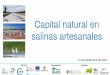 Capital natural en salinas artesanales