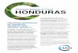 Proyecto Árboles en Finca HONDURAS
