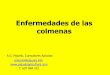 Enfermedades de las colmenas - Cajamar Caja Rural