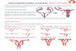 Malformaciones uterinas 2 - aulaginecologia.com