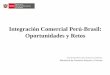 Integración Comercial Perú-Brasil: Oportunidades y Retos