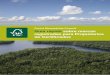 Forest Stewardship Council Guía rápida sobre marcas 