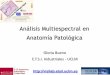 Análisis Multiespectral en Anatomía Patológica