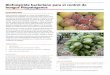 Vitivinicultura - Biopesticidas y Biocontroladores 
