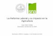 La Reforma Laboral y su impacto en la Agricultura