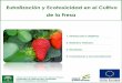 Eutrofización y Ecotoxicidad en el Cultivo de la Fresa