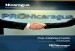 AFTERCARE - PRONicaragua Inversiones