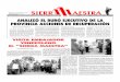 ANALIZÓ EL BURÓ EJECUTIVO DE LA PROVINCIA ACCIONES DE 