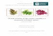 Estudio de harinas de algas marinas comestibles y su 