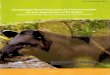 Estrategia Nacional para la Conservación de los Tapires en 