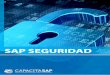 SAP SEGURIDAD - Centro de capacitación SAP en Perú