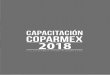 semestral - Coparmex Jal