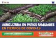 Título: Agricultura familiar de huerto y traspatio