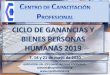 CICLO DE GANANCIAS Y BIENES PERSONAS HUMANAS 2019