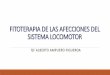 FITOTERAPIA DE LAS AFECCIONES DEL SISTEMA LOCOMOTOR