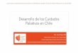 Desarrollo de los Cuidados Paliativos en Chile