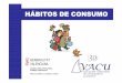 Presentación hábitos de consumo - Las Provincias