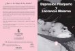 Depresión Postparto y Lactancia Materna - La Liga de La 