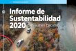 Informe de Sustentabilidad 2020 → Resumen Ejecutivo