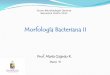 Morfología Bacteriana II
