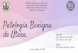 Patología Benigna de Útero